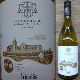 パンノンハルミ　トリコッシュ　ホワイト 2024年　パンノンハルミ・アバーチャーギ・ビンツェーセト