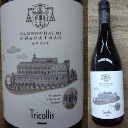 パンノンハルミ　トリコッシュ　レッド 2024年　パンノンハルミ・アバーチャーギ・ビンツェーセト